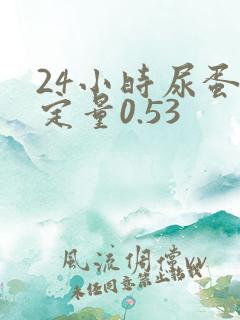 24小时尿蛋白定量0.53