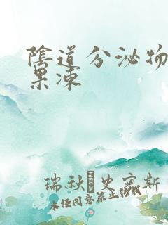 阴道分泌物透明果冻