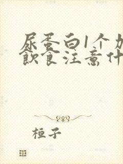 尿蛋白1个加号饮食注意什么