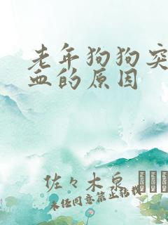 老年狗狗突然尿血的原因