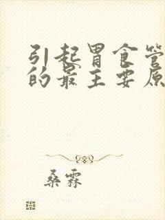 引起胃食管反流的最主要原因