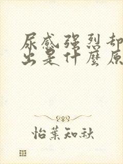 尿感强烈却尿不出是什么原因