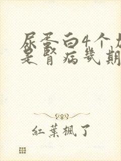 尿蛋白4个加号是肾病几期