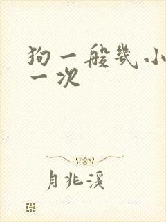 狗一般几小时尿一次