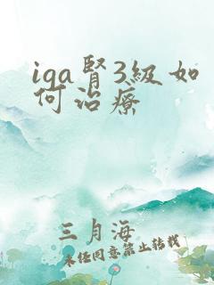 iga肾3级如何治疗