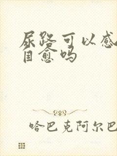 尿路可以感染能自愈吗