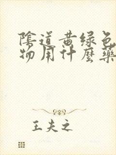 阴道黄绿色分泌物用什么药