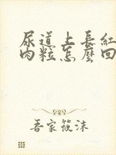 尿道上长红色小肉粒怎么回事