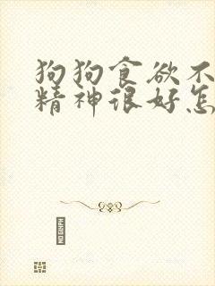 狗狗食欲不好但精神很好怎么回事