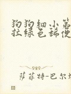 狗狗细小第六天拉绿色稀便