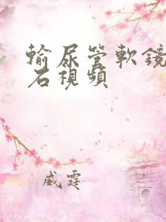 输尿管软镜取结石视频