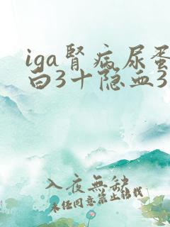 iga肾病尿蛋白3十隐血3十是几级