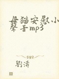 母猫安慰小猫的声音mp3