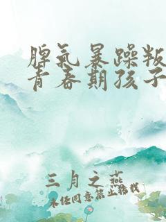 脾气暴躁叛逆的青春期孩子怎么办