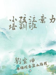 小孩注意力训练培训班