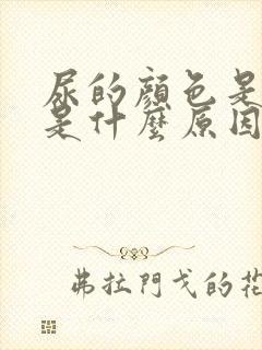 尿的颜色是红色是什么原因