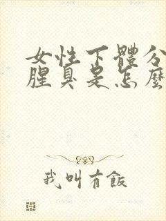 女性下体分泌物腥臭是怎么回事啊