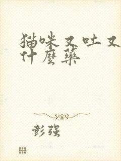 猫咪又吐又拉吃什么药