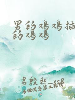 男的鸡鸡插入女的鸡鸡