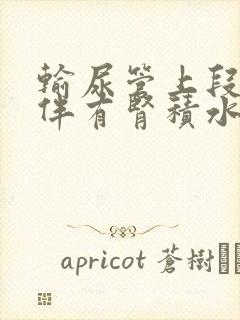 输尿管上段结石伴有肾积水可以体外碎石吗