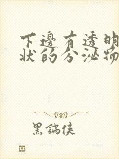 下边有透明果冻状的分泌物