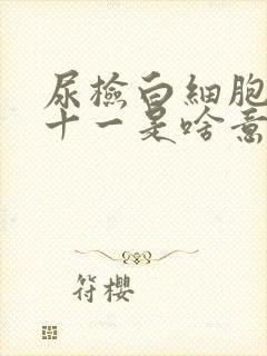 尿检白细胞酯酶十一是啥意思