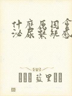 什么原因会造成泌尿系统感染