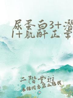 尿蛋白3+潜血1+肌酐正常