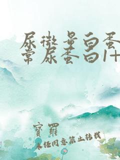 尿微量白蛋白正常尿蛋白1+