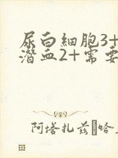 尿白细胞3+尿潜血2+需要治疗吗