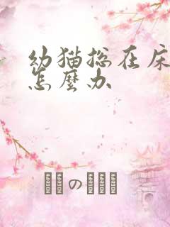 幼猫总在床上尿怎么办