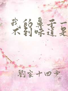 我的鼻子一直闻不到味道是怎么回事