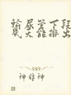 输尿管下段结石几天能排出