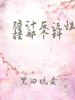 胆汁反流性胃炎挂哪个科