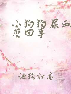 小狗狗尿血是怎么回事