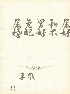 属兔男和属龙女婚配好不好