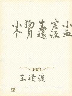 小狗生完小狗一个月还流血怎么回事