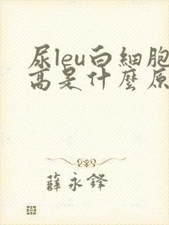 尿leu白细胞高是什么原因