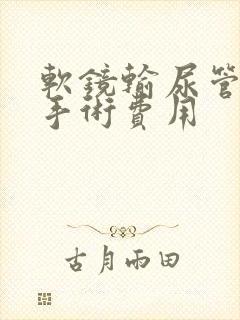 软镜输尿管结石手术费用