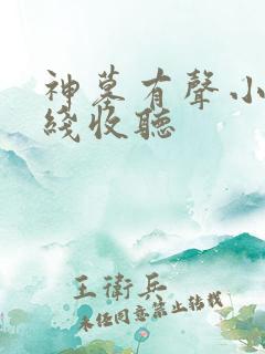 神墓有声小说在线收听