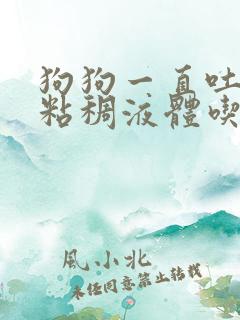 狗狗一直吐黄色粘稠液体吃什么药