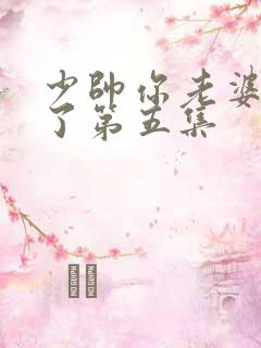 少帅你老婆又跑了第五集