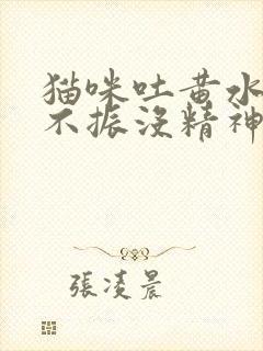 猫咪吐黄水食欲不振没精神