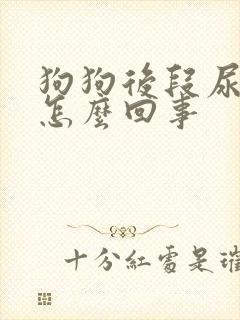 狗狗后段尿带血怎么回事