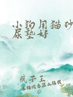 小狗用猫砂还是尿垫好