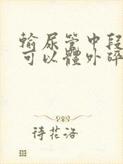 输尿管中段结石可以体外碎石吗