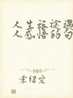 人生旅途遇到的人感悟的句子