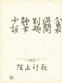 少帅别过分野小说笔趣阁最新章节更