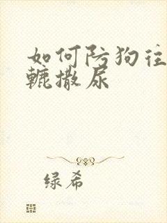 如何防狗往车轱辘撒尿