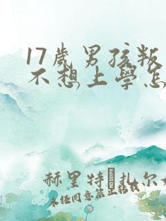 17岁男孩叛逆不想上学怎么办